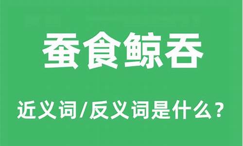 蚕食鲸吞的意思是什么_蚕食鲸吞的意思是什么意思